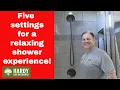 Delta Faucet 5 Spray In2ition Dual Shower Head with Handheld Spray H2Okinetic Oil Rubbed Bronze