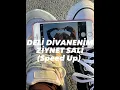 DELİ DİVANENİM ZİYNET SALİ (Speed Up)