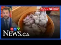 Heavy rain brings mixed local harvest CTV News Ottawa at Six for August 15 2026