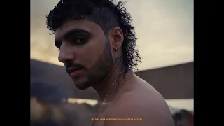                                           دندنها