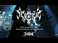 Download Lagu Sekoria - Live in Enns, Austria (04/01/2025)
