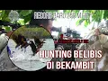 Download Lagu REKOR 250 M || BERBURU BELIBIS MERAH DI SPOT MENGGIURKAN || BEKAMBIT KOTABARU