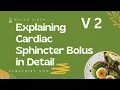 Explaining Cardiac Sphincter in Detail V 2