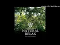 Kenichiro Nishihara - Heart Remix Feat. Substantial