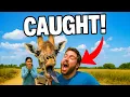 Download Lagu UNBELIEVABLE MOMENTS COMPILATION 😊 | Caught on Camera Unexpectedly 2025