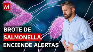 Alerta por salmonella en Ciudad de México: ¿cuáles son los síntomas y cómo tratarla?
