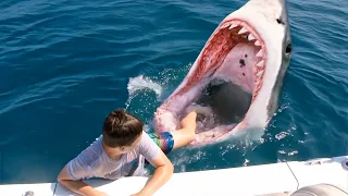 Craziest Animal Encounters of All Time..