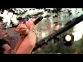 Vale Vale Alok En Tomorrowland/ canción en Free Fire