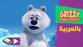 غريزي والليمنغز تربية الدب القطبي بوميرانغ  غريزي والليمنغز تربية الدب القطبي بوميرانغ