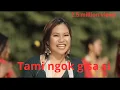 Download Lagu TAMI NGOK GISA SI || PAKNGAM LOMBI || GALO VIDEO