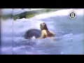 Shamu attacks girl at Sea World in San Diego 1971