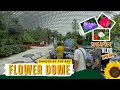Exploring the Stunning Flower Dome Gardens by the Bay Ep 02