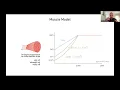 ALIFE2023 Morphological Development at the Evolutionary Timescale