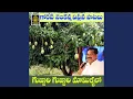 Download Lagu Gujjaari Gujjaari Mamillalo