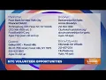 Want to volunteer in NYC Here s a list