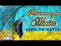 Download Lagu MASTERAN SOGON ALMIRA jeda 10 detik!!!! #sogon #sogongacor #sogokontong #sogokontonggacor