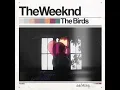 The Weeknd - The Birds [Interlude/Part 1/Part 2] | Transition