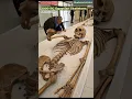 Lagu Illustration of 2000 BC Egyptian Skeletons Animation | Skeletal AI Art | 86