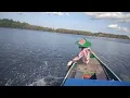 Download Lagu beginilah spot mancing kalau habis hujan deras tarikan nya ribut #barramundi 