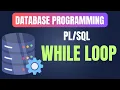 Database Programming How to use While Loop in What is While Loop in