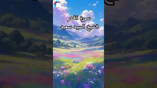 سورة القدر الشيخ السيد سعيد دندنها