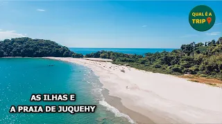 SÃO SEBASTIÃO - ENCONTRAMOS GOLFINHOS NO LUGAR MAIS LINDO (AS ILHAS E JUQUEHY)
