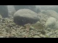 Kayaking Adventures - 8