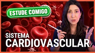 Introdução ao Sistema Cardiovascular e tecido sanguíneo: ESTUDE COMIGO!