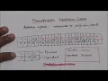 LECTURE-11 MONOALPHABETIC SUBSTITUTION CIPHER