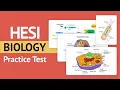 Hesi A2 Biology Review HESI A2 Biology Practice Test ALL Answers Explained