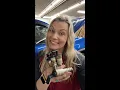 Colorado ZR2 Bank 1 2 Camshaft Position Actuator Solenoid install