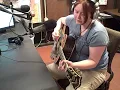 GLT In Studio Performance -- Shannon Curfman