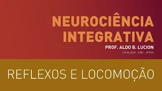 Medula Espinhal, Aula 1 | Neurociência Integrativa: Reflexos e Locomoção
