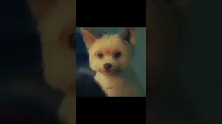 مسلسل يوم جيد لتصبح كلبا 