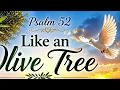 🌿 Psalm 52 | Like an Olive Tree | A Scripture Song by Donna Quinn Music)