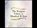 The Cave - The Bluegrass Tribute to Mumford & Sons - Pickin' On Series