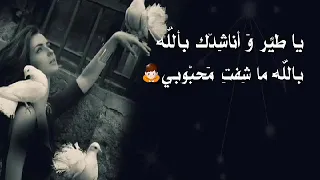ياطير واناشدك بالله فؤاد غازي 