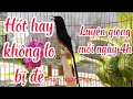 Download Lagu Chòe lửa ❣ Tổng hợp giọng hót hay không lo bị đè @PhamNgocPhuc82@ shama ❣ murai batu ❣ บินหลาดง ❣
