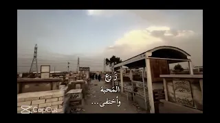 ربما تشتاق يوا للذي زرع المحبه واختفى  دندنها
