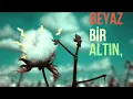 Hayki - B1R