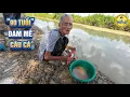 Download Lagu Gặp Cụ Già 90 Tuổi Đam Mê Câu Cá ở Hồ Câu Minh Châu?