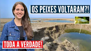 DESCOBERTAS INEDITAS SOBRE AS PROFECIAS! Israel com Aline