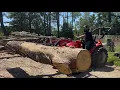 TYM 264 Firewood Processor in Action