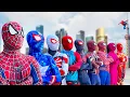 Lagu What If 9 SPIDER MAN in 1 HOUSE ??? || Hey All SuperHero , Go To Trainning Nerf Gun !! - Follow Me