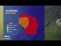 Allergy season Tree pollen count unusually high FOX6 News Milwaukee