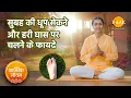 Lagu सुबह धूप सेकने और घास पर नंगे पाँव चलने के फायदे | Sunbathing Benefits | Walking on Grass Benefits