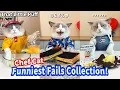 Download Lagu 🤣Funniest Fails Collection! | That Little Puff
