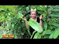 Download Lagu Tetial Tital- Ulat Lat (Official Music Video)