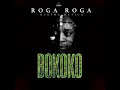 Download Lagu roga roga_ BOKOKO (ft extra musica)