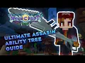 The Ultimate Assasin Guide Wynncraft Guide OUTDATED